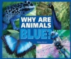 Why Are Animals Blue?
