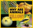 Why Are Animals Yellow?