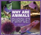 Why Are Animals Purple?