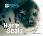 Harp Seals