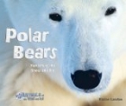 Polar Bears