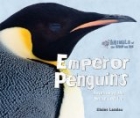 Emperor Penguins