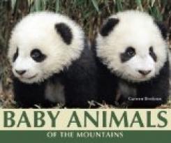 Baby Animals of the Mountains