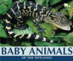 Baby Animals of the Wetlands