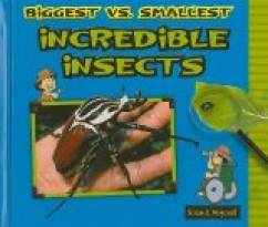 Biggest vs. Smallest Incredible Insects