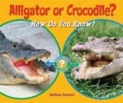 Alligator or Crocodile?