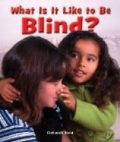 What Is It Like to Be Blind?