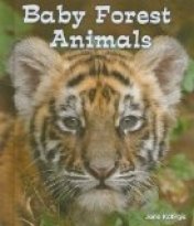 Baby Forest Animals