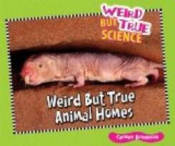 Weird But True Animal Homes