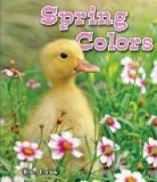 Spring Colors