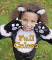 Fall Colors
