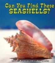 Can You Find These Seashells?