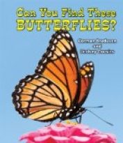 Can You Find These Butterflies?