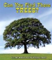 Can You Find These Trees?