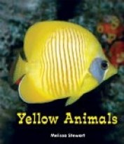 Yellow Animals