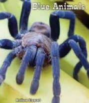 Blue Animals