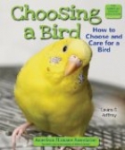 Choosing a Bird