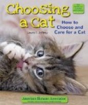 Choosing a Cat