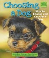 Choosing a Dog