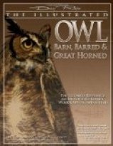 Illustrated Owl: Barn, Barred & Great Ho