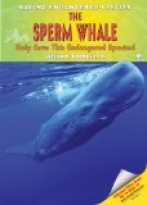 The Sperm Whale