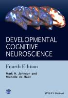 Developmental Cognitive Neuroscience - AnIntroduction, 4e